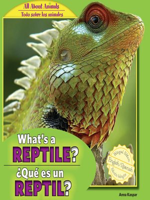 cover image of What's a Reptile? / ¿Qué es un reptil?
